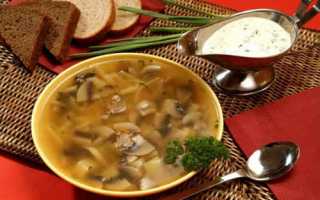 Грибной суп из замороженных и сушеных грибов – лучшие рецепты!