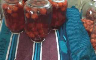 Компот из сливы на зиму и летний 13 домашних вкусных рецептов