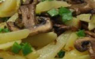 Жареная картошка с грибами на сковороде и не только: 97 домашних вкусных рецептов