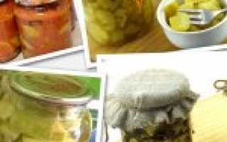 Вкусные кабачки на зиму: самые лучшие и проверенные рецепты заготовок из кабачков, фото, пошаговое приготовление