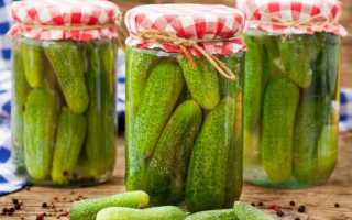 Маринуем огурцы на зиму: хрустящие, острые, с перцем и с луком